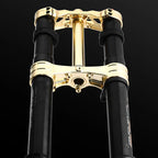 RFloXa Hawk31 Max (Gold)