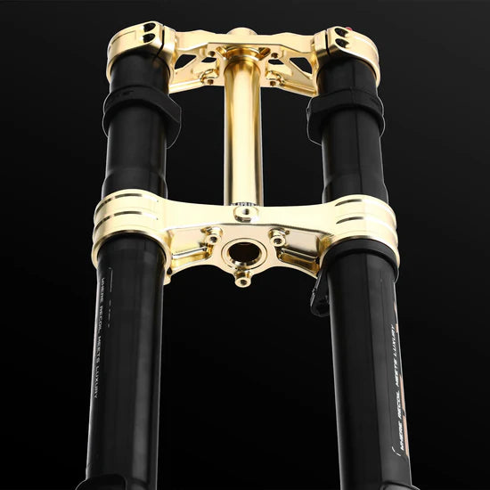 RFloXa Hawk31 Max (Gold)